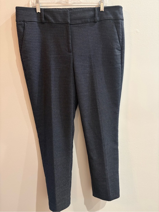 LOFT Pants - Loft Marisa Navy/White Skinny Ankle Pant Size 14